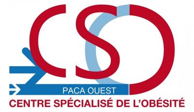 Logo CSO