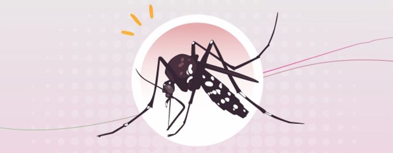 Colloque régional : Enjeux sanitaires liés au moustique tigre : les professionnels de santé au coeur du dispositif de surveillance
