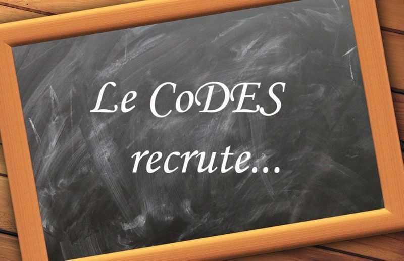 Offres d'emploi dans notre réseau : les Comités de Vaucluse et des Alpes-de-Haute-Provence recherchent leur directrice/directeur