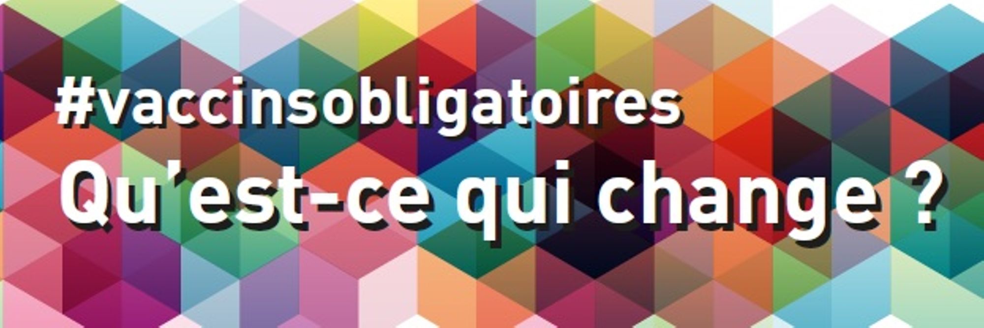 Vaccination-info-service.fr