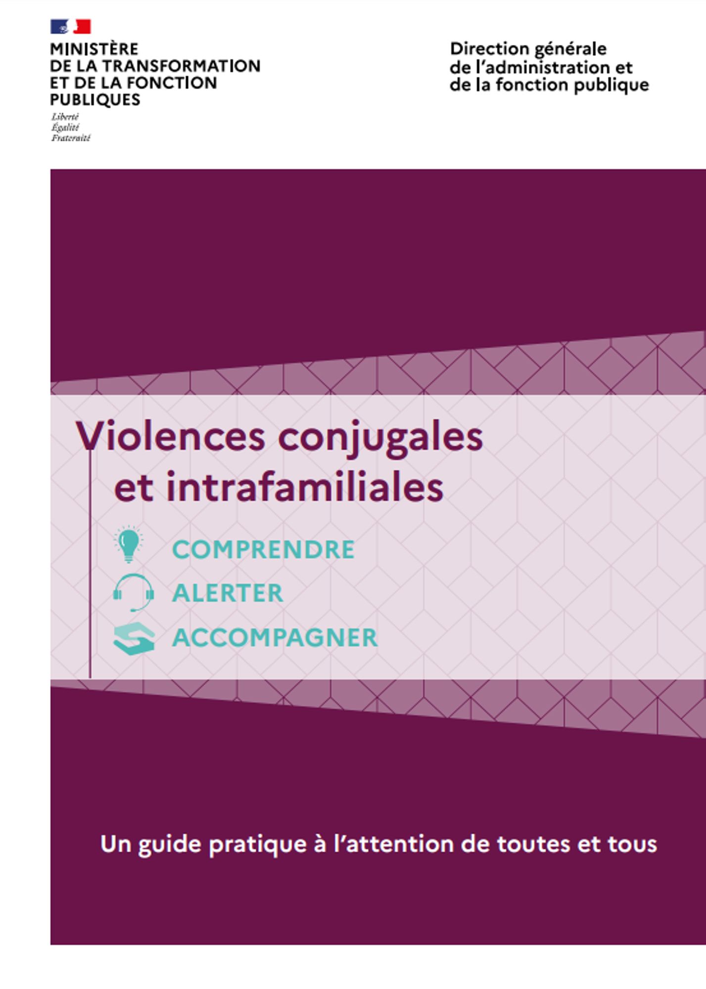 Violences conjugales et intrafamiliales. Comprendre, alerter, accompagner