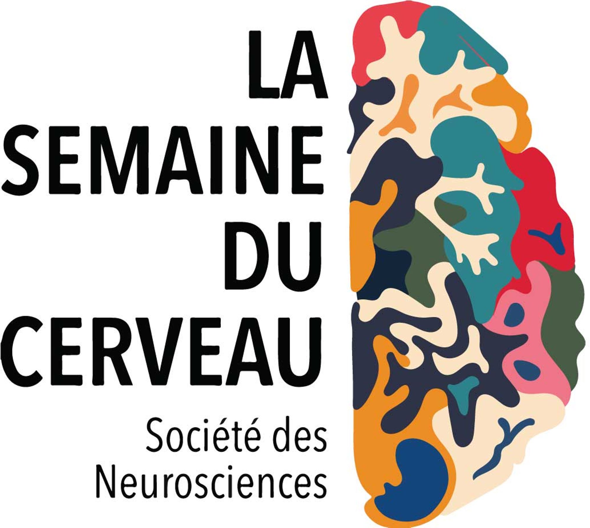 Semaine du cerveau 2024 : "le cerveau, parfait ou imparfait ?"