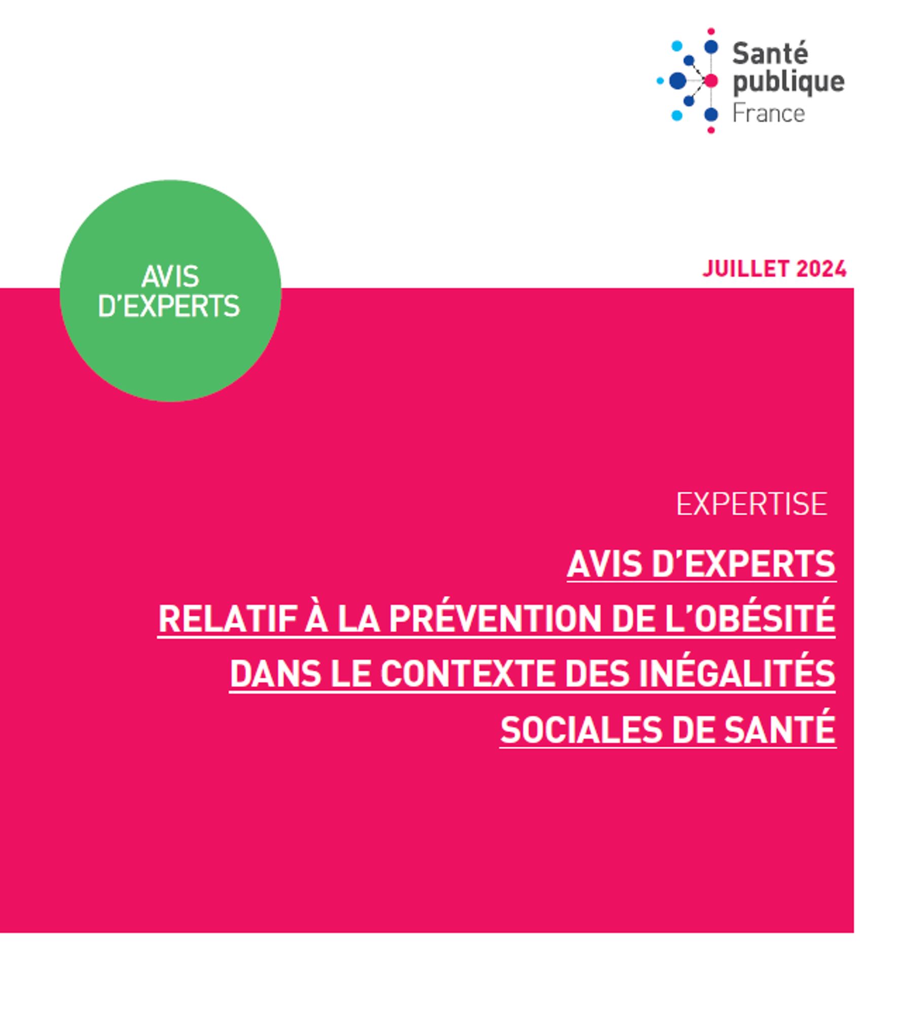 Avis d'experts relatif à la prévention de l'obésité dans le contexte des inégalités sociales de santé