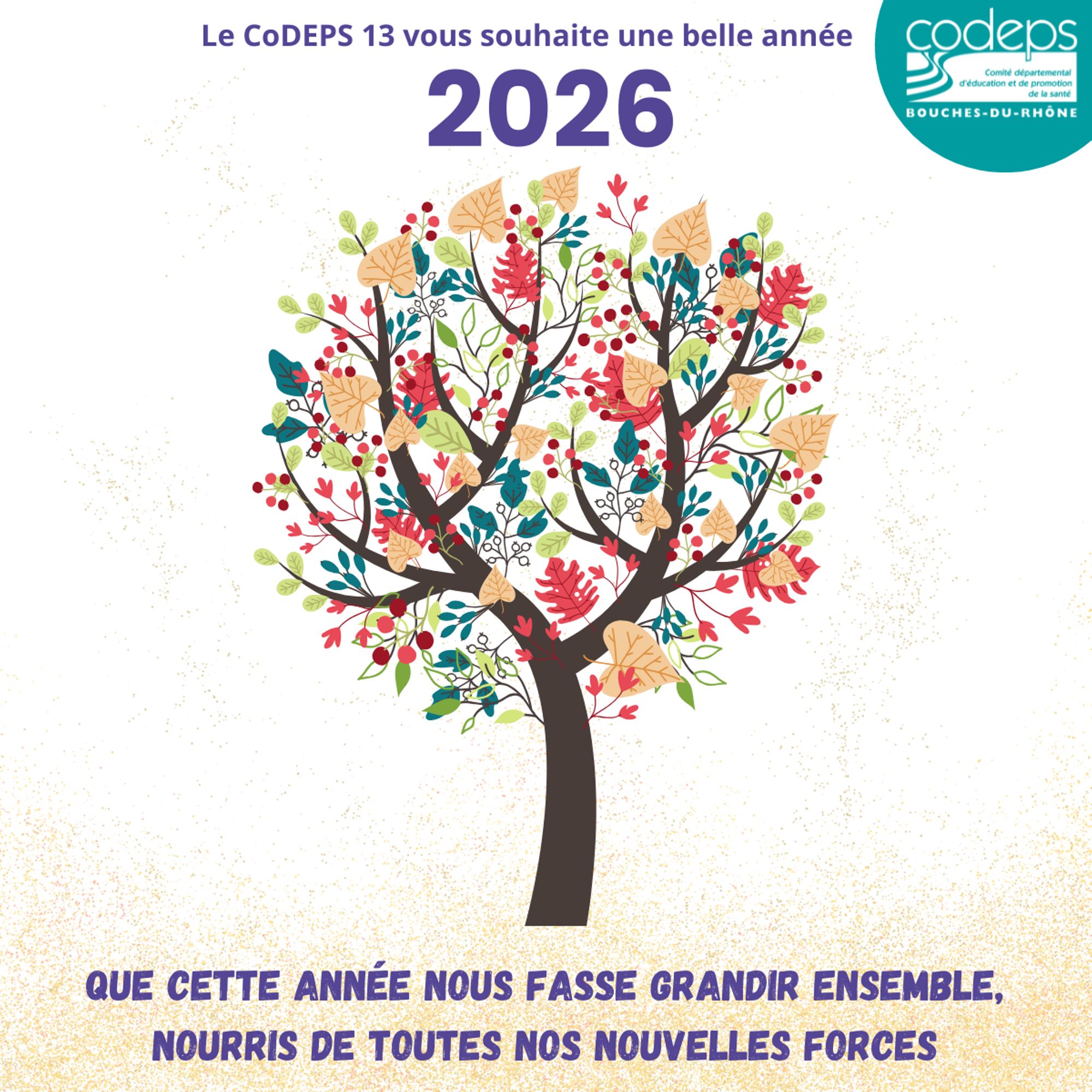 Meilleurs voeux 2026