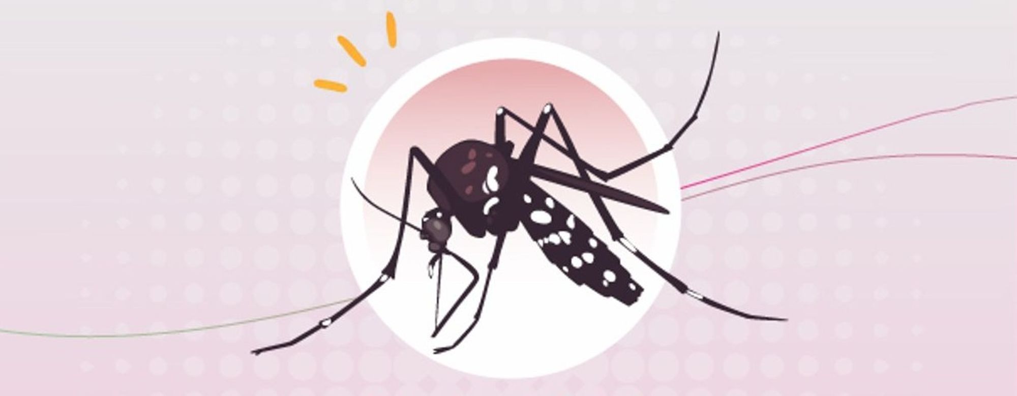 Colloque régional : Enjeux sanitaires liés au moustique tigre : les professionnels de santé au coeur du dispositif de surveillance