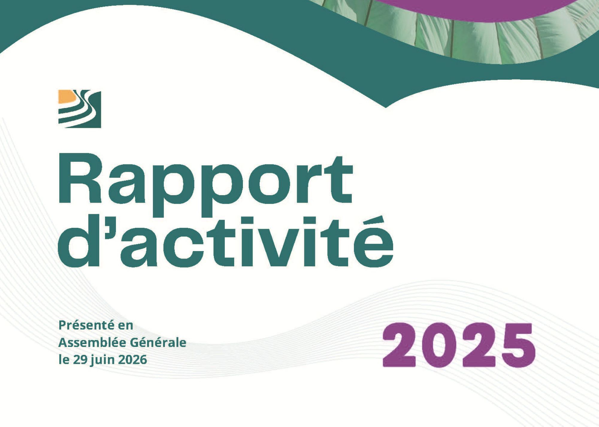 Notre rapport d'activité 2025 est disponible
