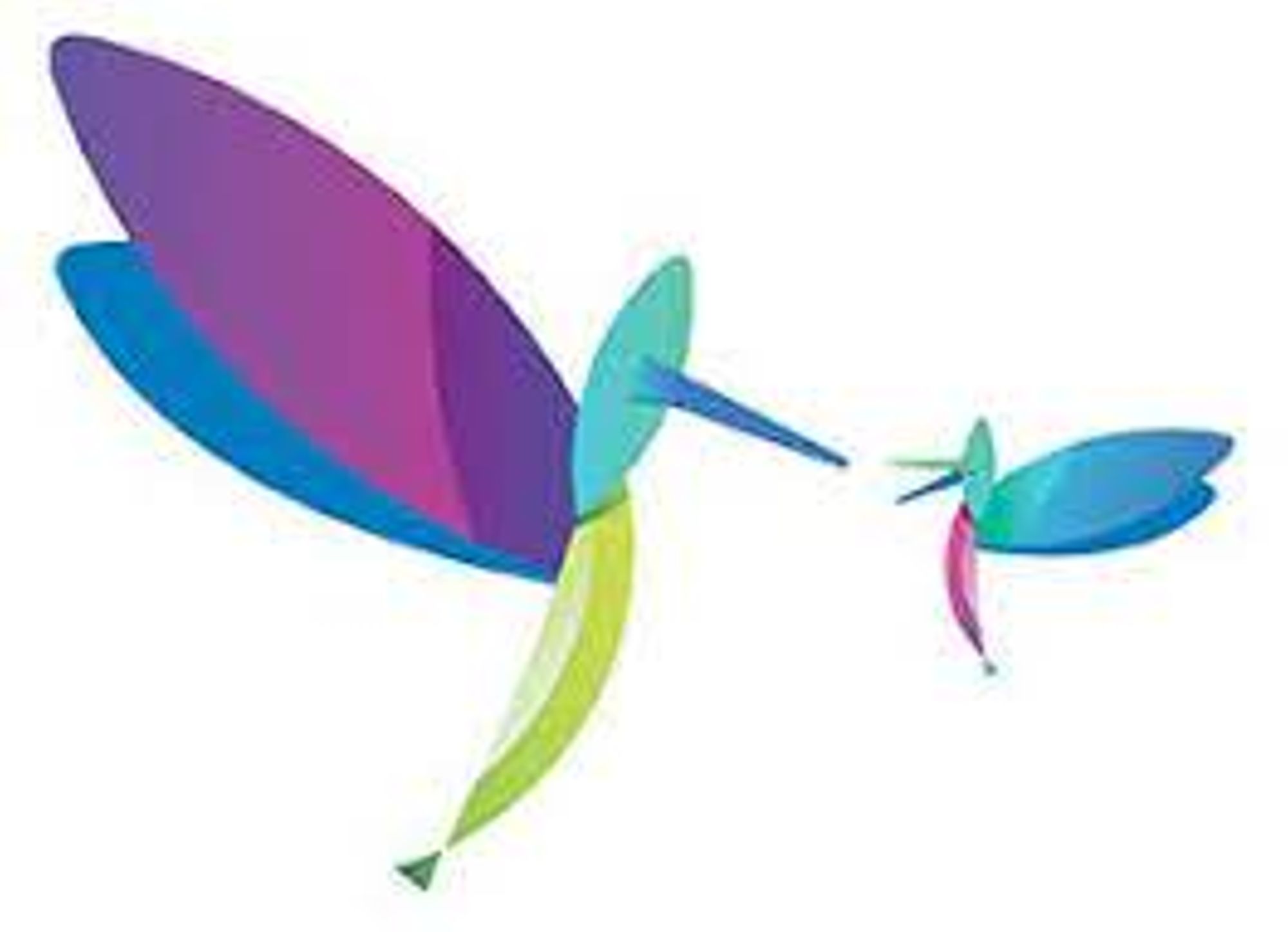 Internet et les réseaux sociaux