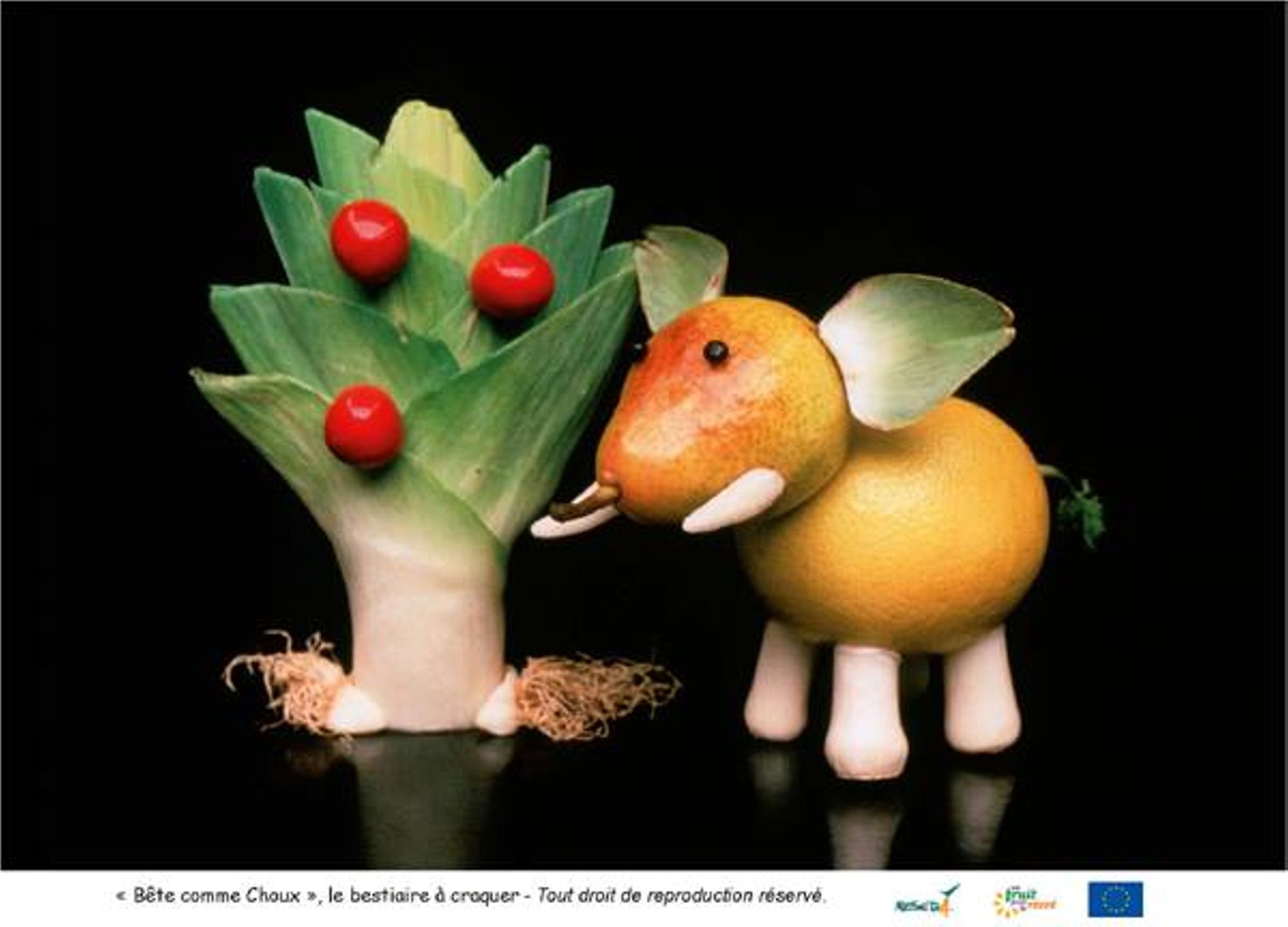 Autour de l'Alimentation