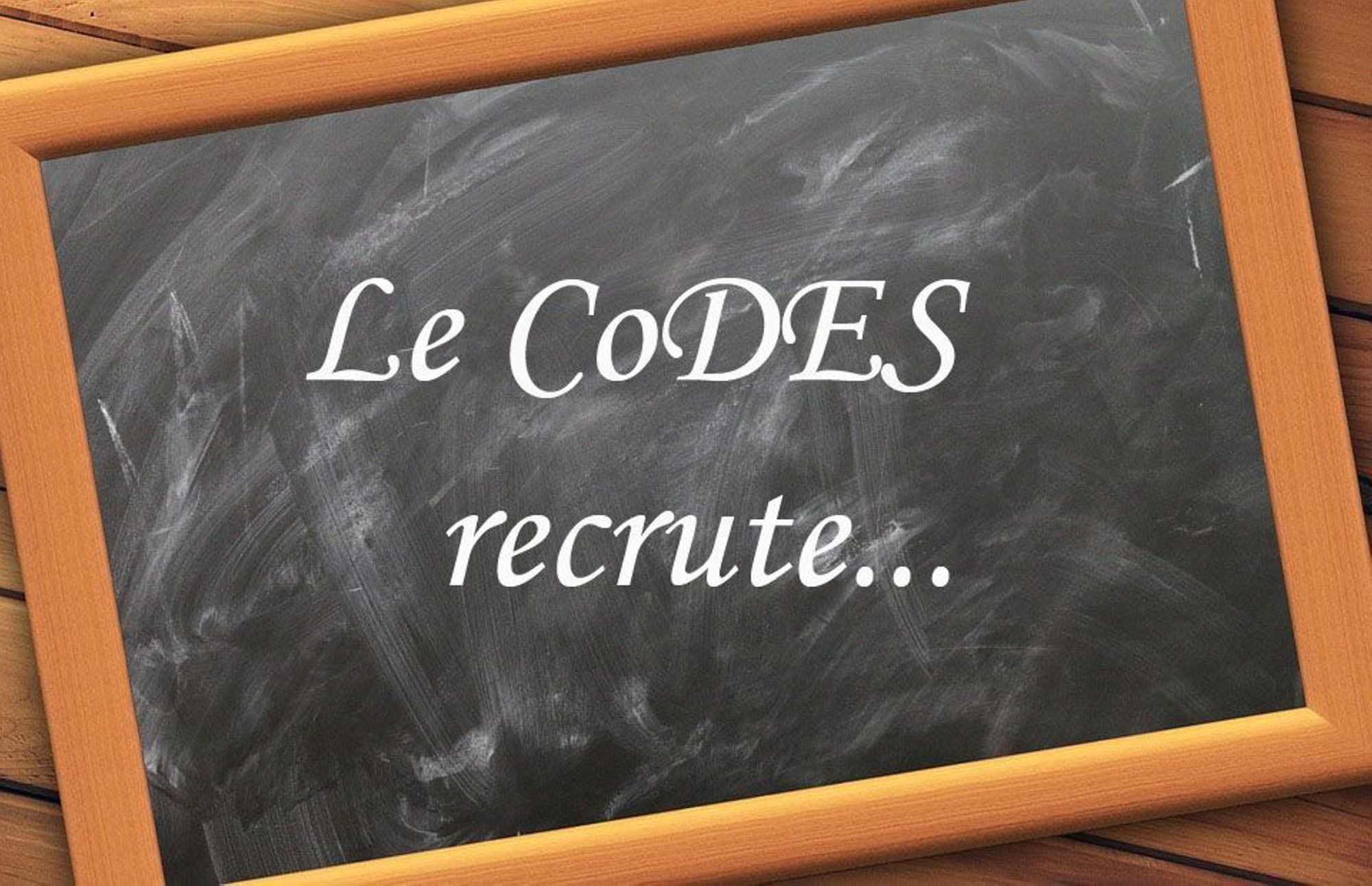 Le CoDES 84 recrute sa Directrice / son Directeur