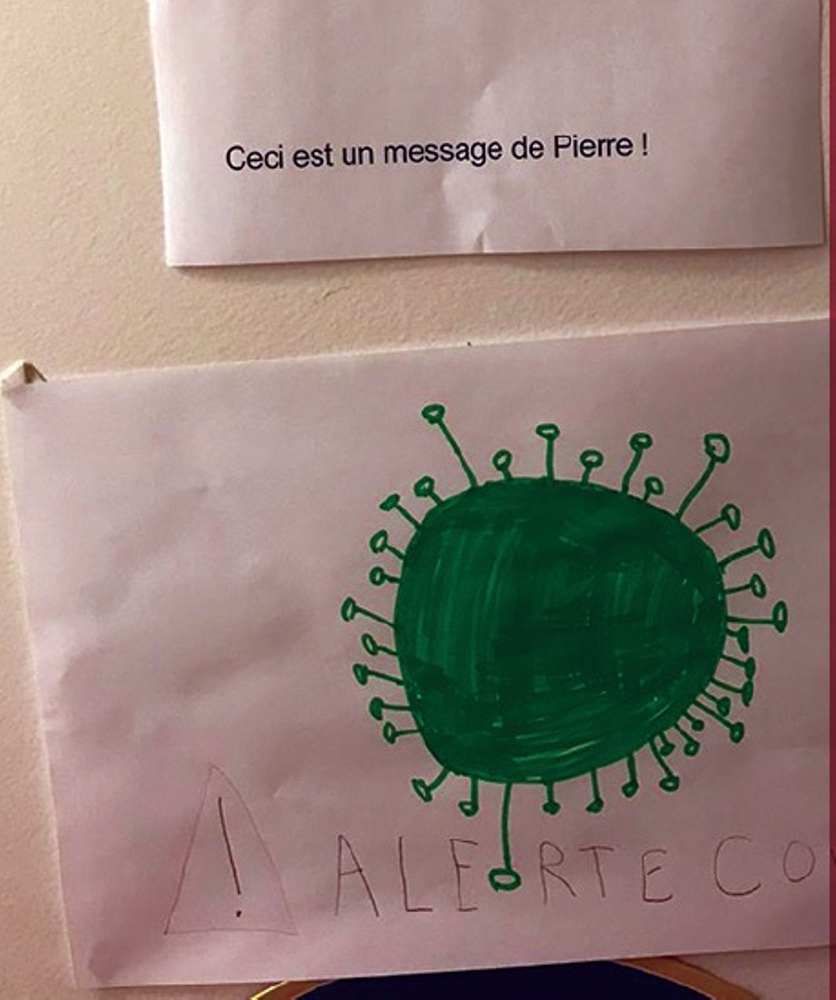 Les effets de la pandémie de Covid-19. Documenter, décrire, analyser