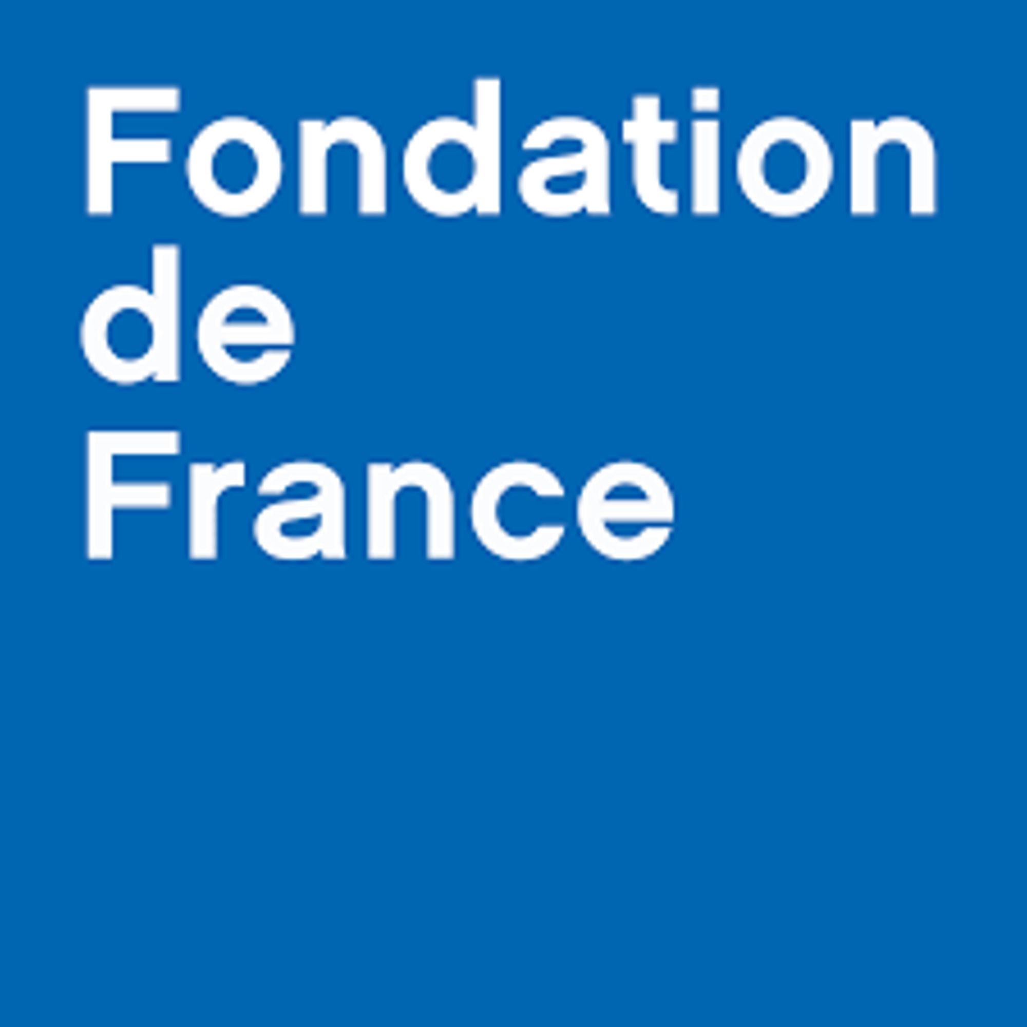 3 nouveaux appels à projets de la Fondation de France