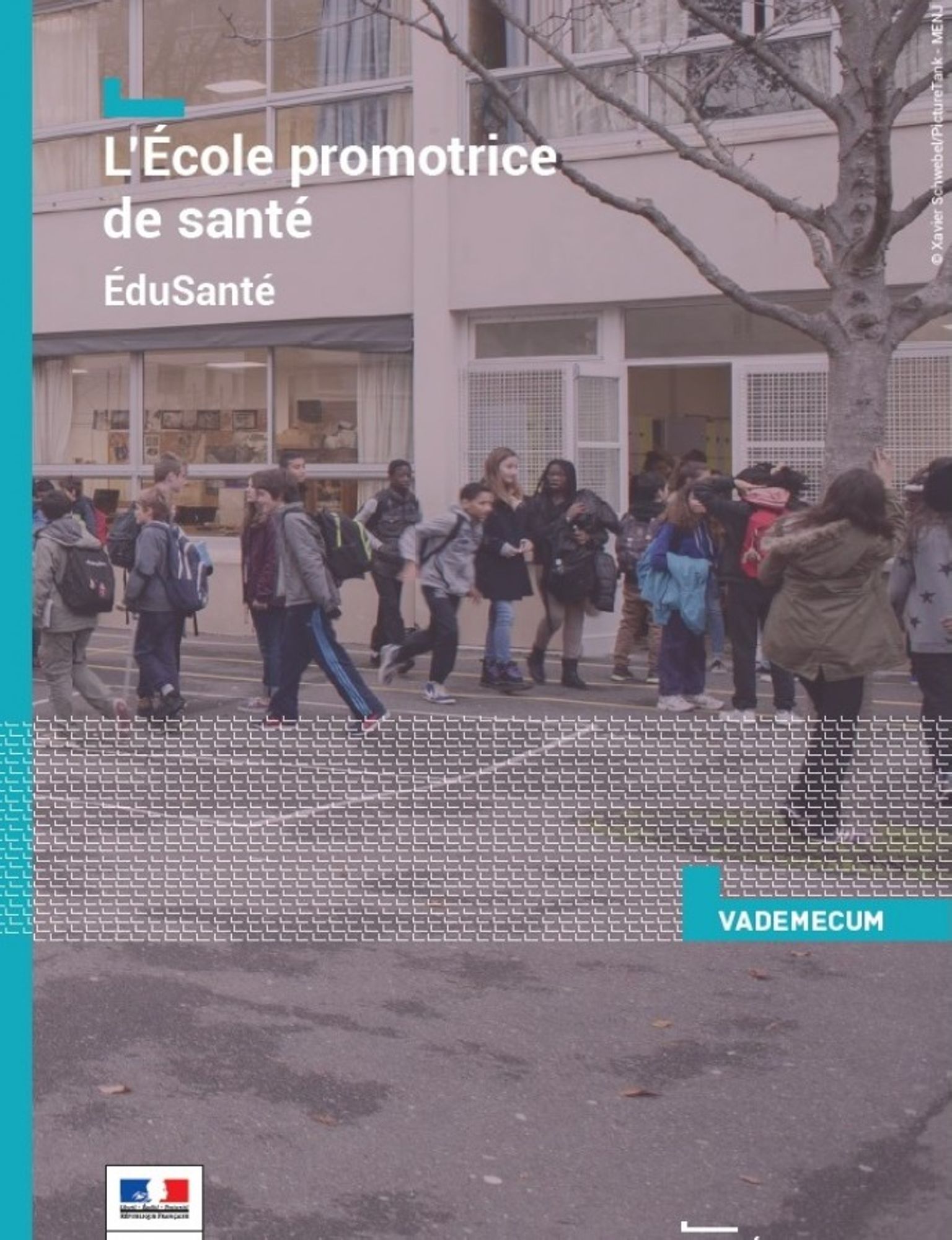 VADEMECUM : l'école promotrice de santé. EduSanté